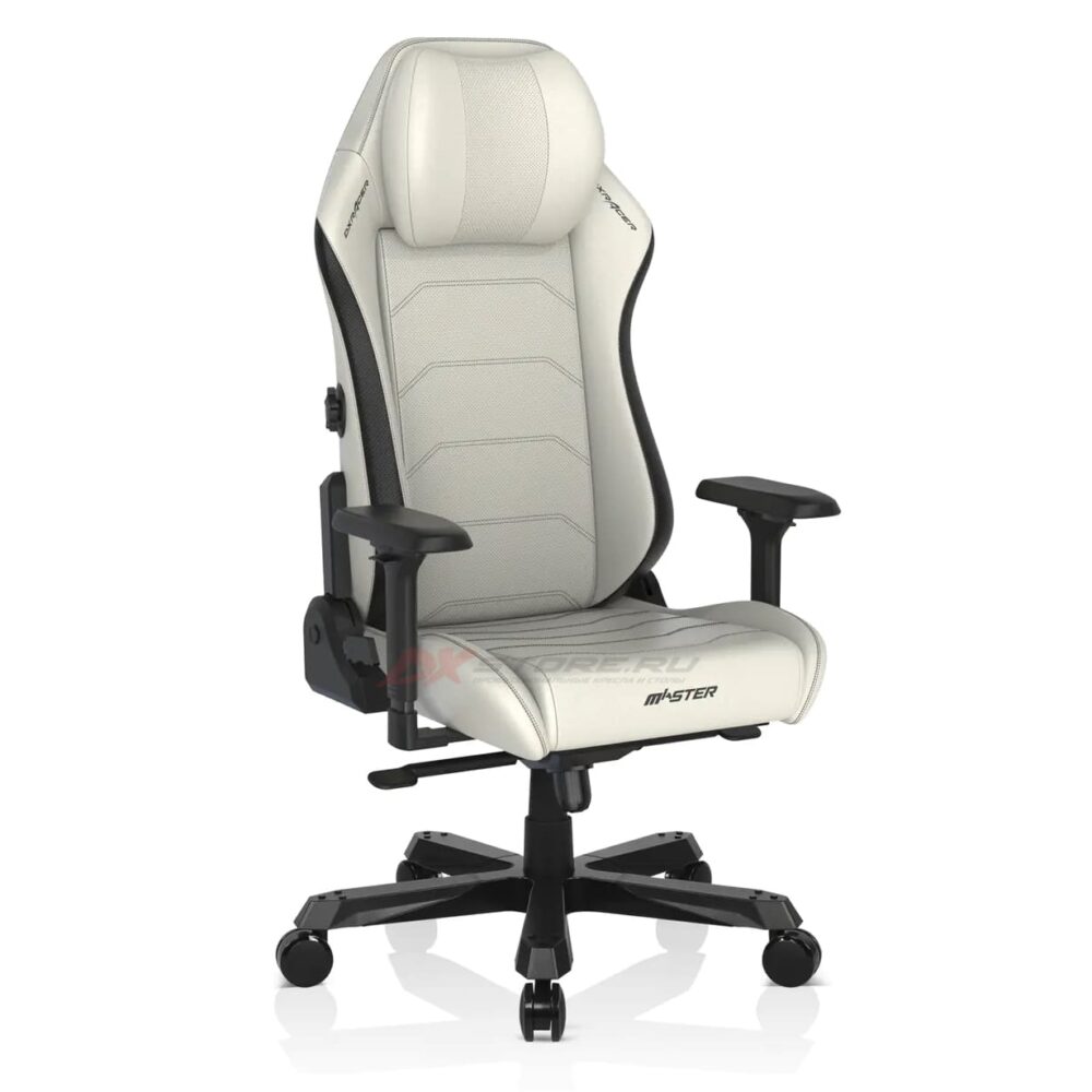 Компьютерное кресло DXRacer Master 2022 MAS/I239S/WN (Белый/Чёрный) - Фото 3