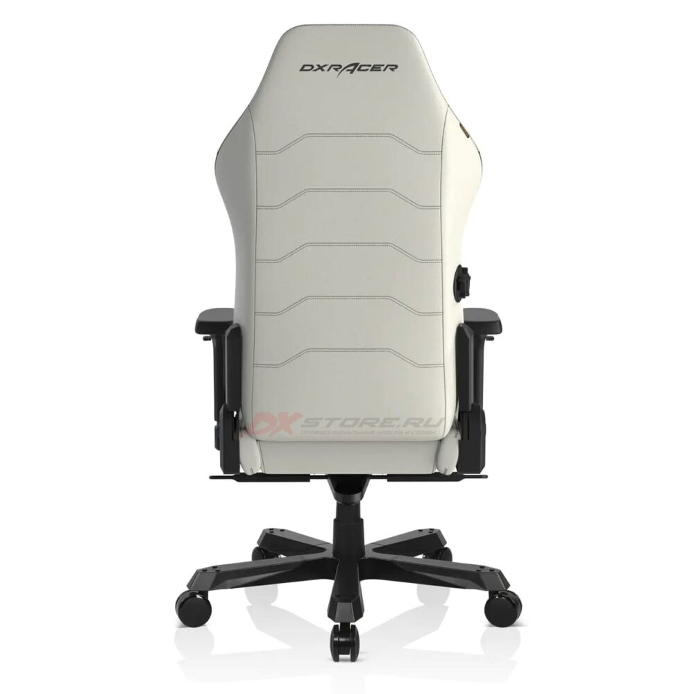 Компьютерное кресло DXRacer Master 2022 MAS/I239S/WN (Белый/Чёрный) - Фото 5