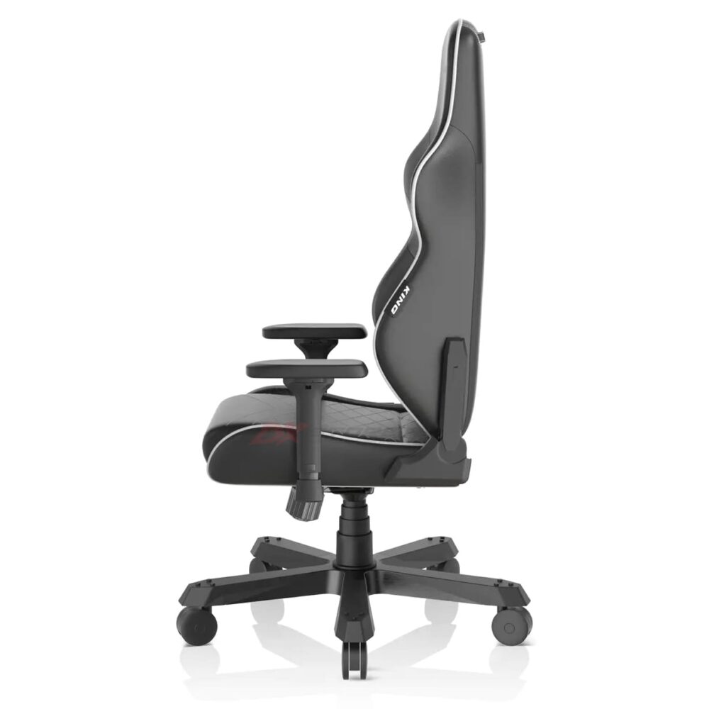 Компьютерное кресло DXRacer Tank 2022 GC/T200/NW (Черный/Белый)