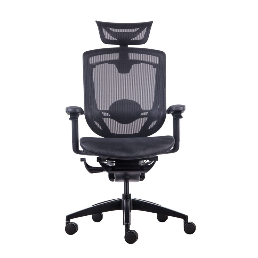 Премиум эргономичное кресло GT Chair Marrit X, Черный - Фото 2