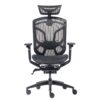 Премиум эргономичное кресло GT Chair Dvary X, Черный