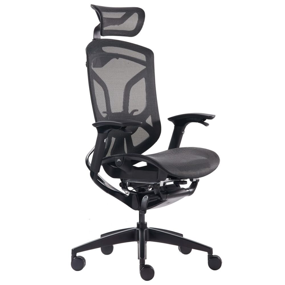 Премиум эргономичное кресло GT Chair Dvary X, Черный